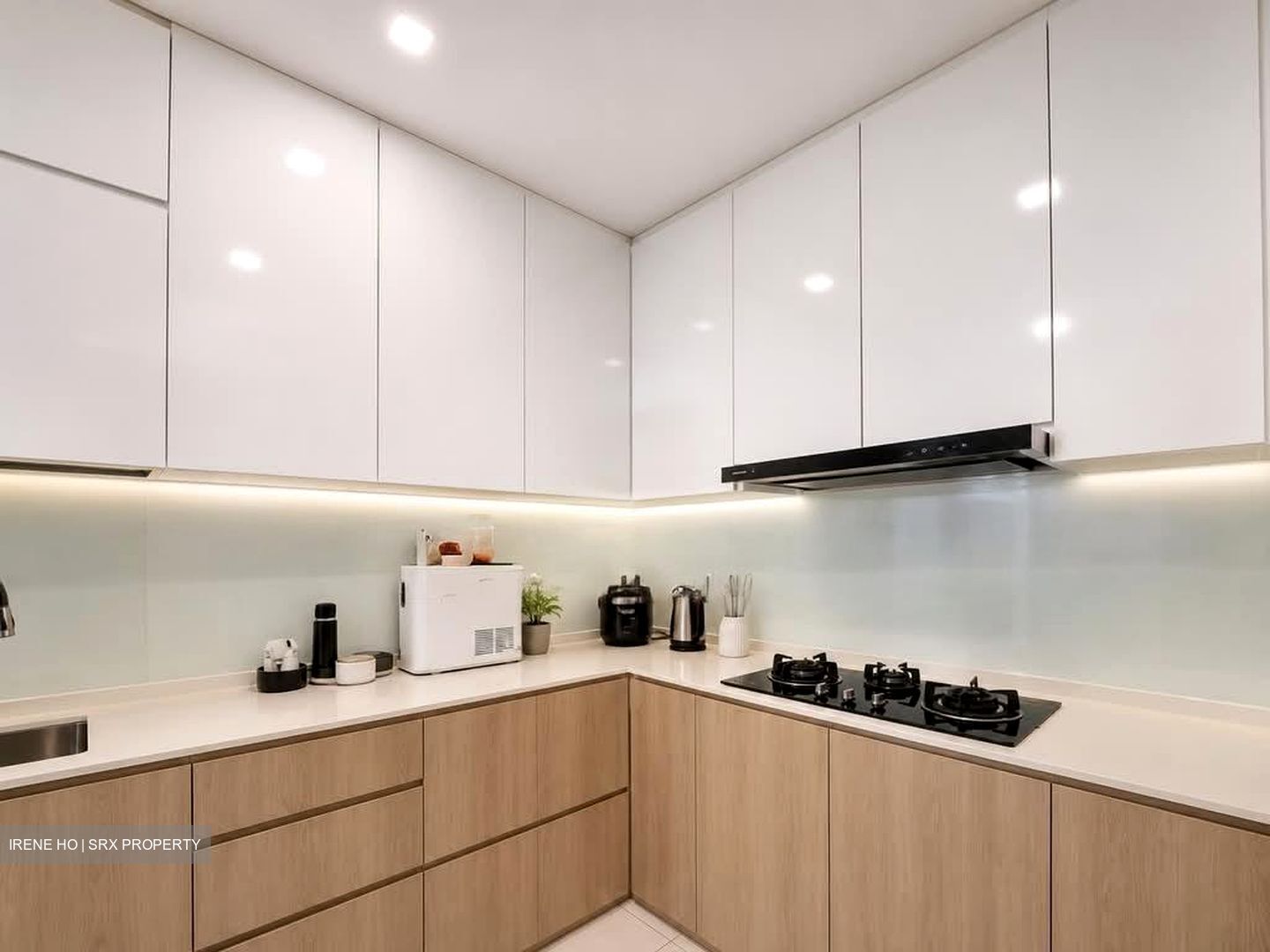 Edelweiss Park Condominium (D17), Condominium #588805251